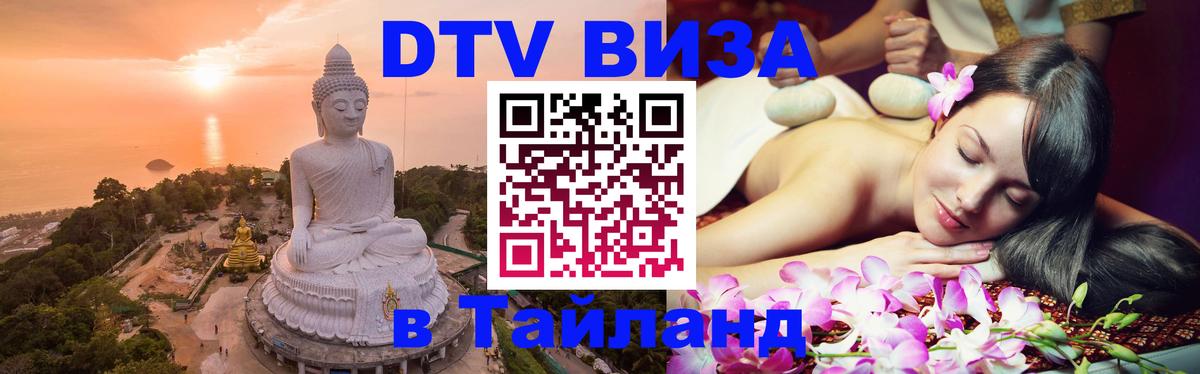 Оформление DTV визы под ключ: стоимость и тарифы, только загранпаспорт - Новомосковск  08.12.2025 